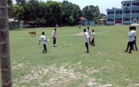 ইভেন্ট : আজিজুর রহমান উচ্চ বিদ্যালয় , AZIZUR RAHMAN HIGH SCHOOL